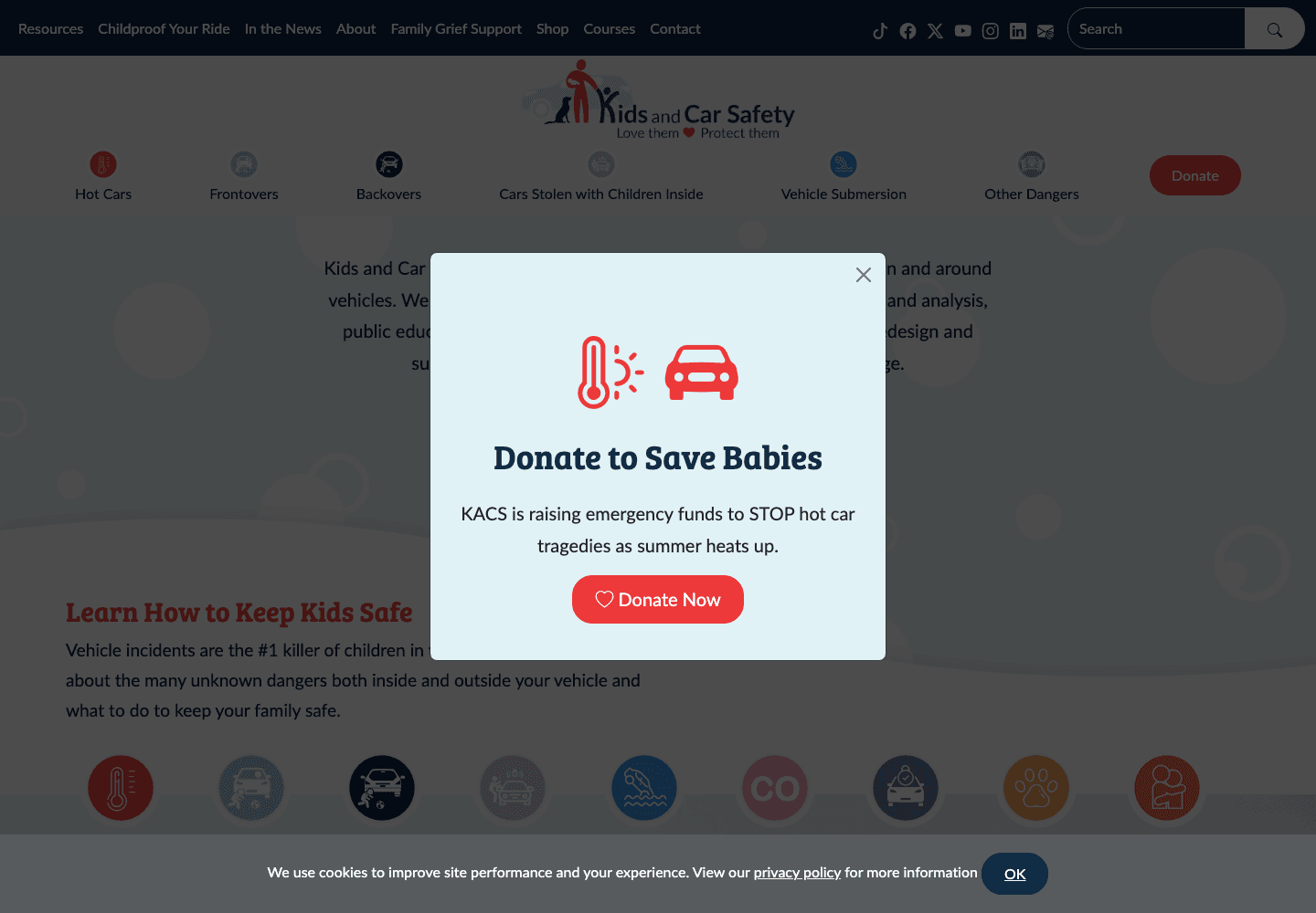 Kids and Car Safety nonprofit website